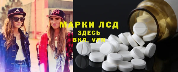 ешки Аркадак