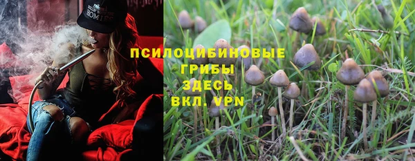 2c-b Алзамай