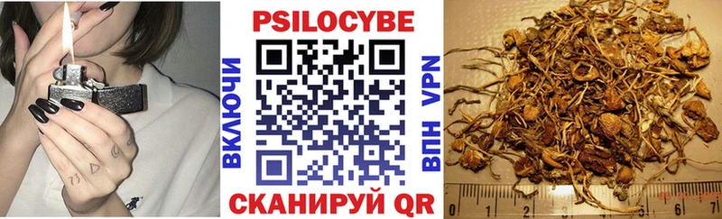 Галлюциногенные грибы Magic Shrooms  Коломна 